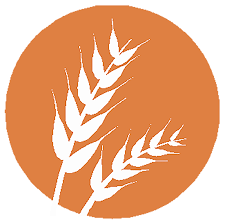 Gluten